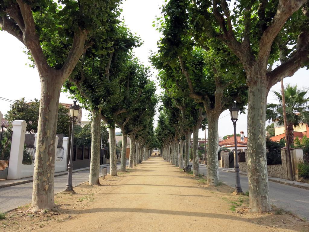 Beach Front Canet * Canet De Mar